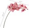 33.5" Pink Phalaenopsis Orchid Stems (12-Pack) - Real Touch Faux Flowers with 9 Blooms & 2 Buds, Perfect for Bouquets, Events & Home Decor - Elegant Year-Round Accent - Floral Home by Artificial Flowers